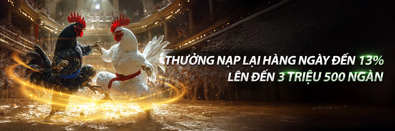 Sân vận động lớn với khán giả cổ vũ, biểu tượng cho cá cược thể thao sôi động tại hi8 đá gà