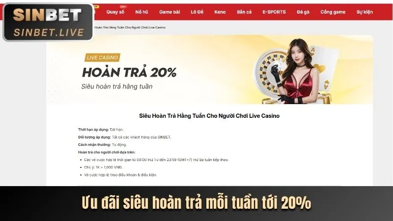 Hoàn trả casino hàng tuần tại hi8 đá gà